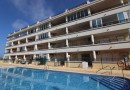 Playa Flamenca (Play Flamenca), Apartment #CQ-R-92559