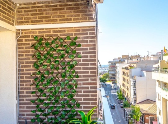 Torrevieja (torrevieja), Apartment #CQ-PJ-94948