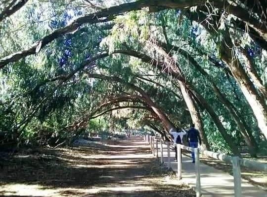 Torrevieja (Altos del Sol), Bungalow #RD-N8463