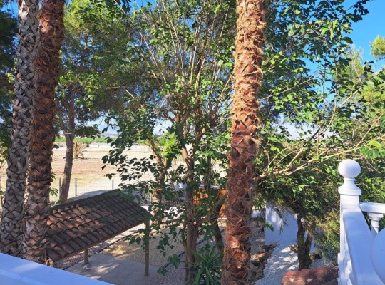 Orihuela, Townhouse #CQ-GL-36163