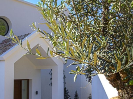 Benahavís (Costa del Sol), Villa - Detached #CM-R3936058