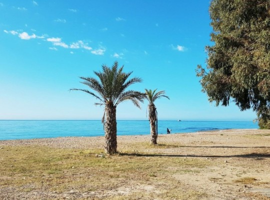 Villajoyosa (Playa Les Torres), Apartment #CQ-00-43053