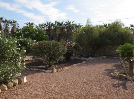 Daya Vieja, Finca #CQ-SD-85383
