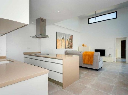 Daya Nueva (Centro), Semi Detached #CQ-00-83730