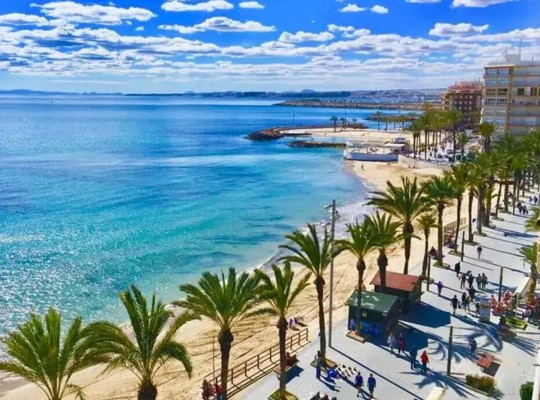 Torrevieja (Playa de El Cura), Apartment #CQ-00-16520