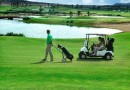 Orihuela Costa (Vistabella golf), Villa #CQ-00-14225