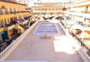 Torrevieja (La Mata), Apartment #CQ-JM-73596