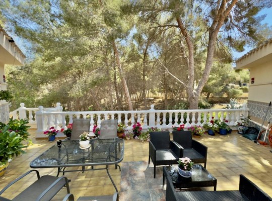 Algorfa, Villa #CQ-853