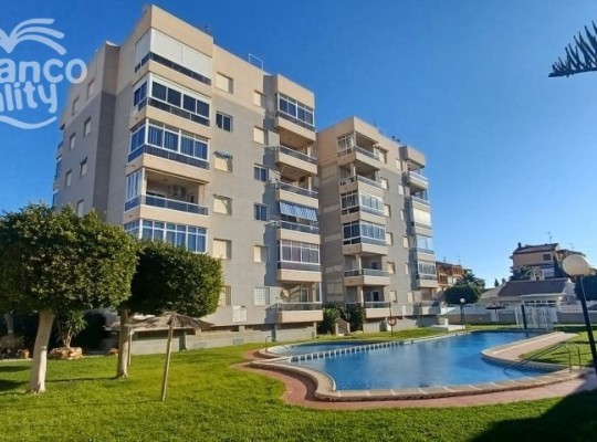 Torrevieja, Apartment #CQ-SO-47850