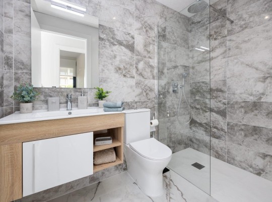 San Miguel de Salinas (Pueblo), Apartment #RD-N8820