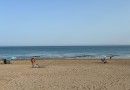 Guardamar del Segura, Apartment #CQ-GL-15537