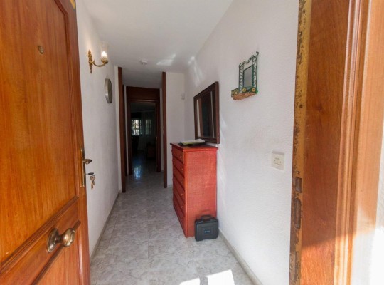 Torrevieja (Playa del Acequion), Apartment #CQ-TS-49373