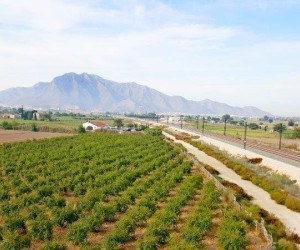 Callosa De Segura, Finca #CQ-SL-23062