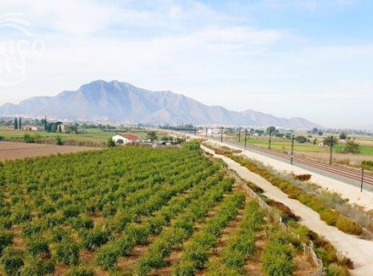 Callosa De Segura, Finca #CQ-SL-23062