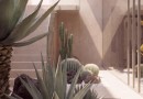 Nové luxusní apartmány s výhledem na moře, Corralejo, Fuerteventura