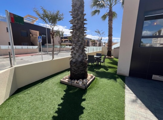 Pilar de La Horadada (Mil Palmeras), Apartment #CQ-WN-53342