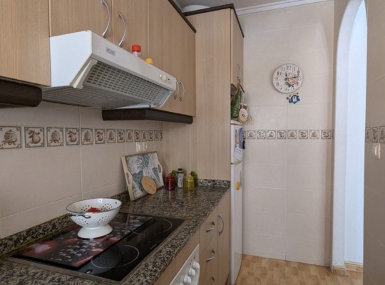 San Miguel de Salinas, Apartment #CQ-WI-50146
