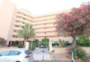 Orihuela Costa (La Zenia), Commercial #CQ-JM-27040