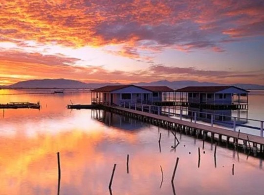 San Pedro del Pinatar (Los Pinos), Apartment #CQ-00-63875