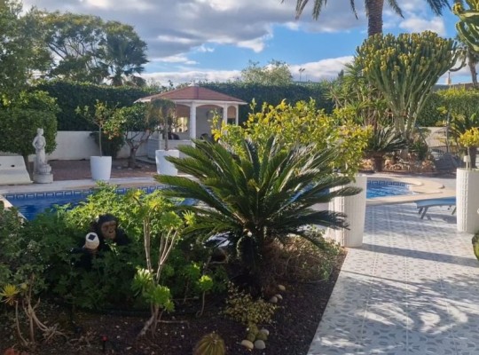 Ciudad Quesada (Pueblo Bravo), Villa #CQ-326