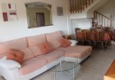 Algorfa (Montemar), Semi Detached #CQ-BT-27057