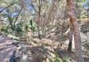 Algorfa, Villa #CQ-853