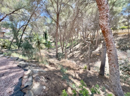 Algorfa, Villa #CQ-853