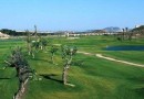 Sucina (Peraleja Golf), Villa #RD-N8886