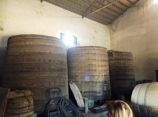 Other areas (La Matanza), Finca #CQ-GL-85543