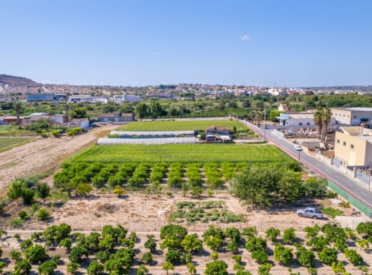 Formentera del Segura (Forementera del Segura), Plot #CQ-GS-60258