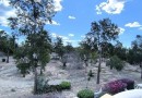 El Raso (El Raso, Guardamar), Villa #CQ-932
