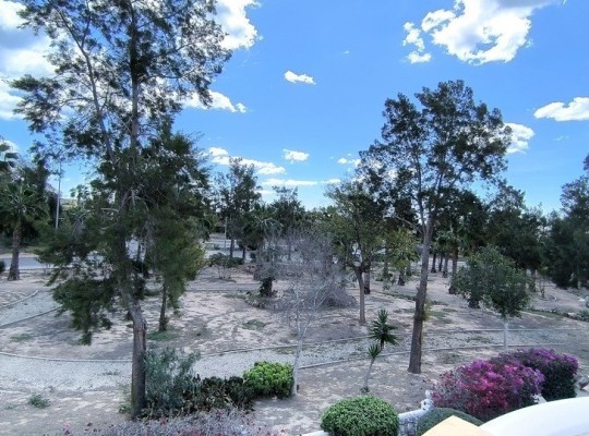 El Raso (El Raso, Guardamar), Villa #CQ-932