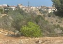 Ciudad Quesada, Bungalow #CQ-875