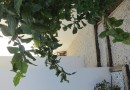 Other areas (Mar de Cristal), Villa #CQ-SD-52400