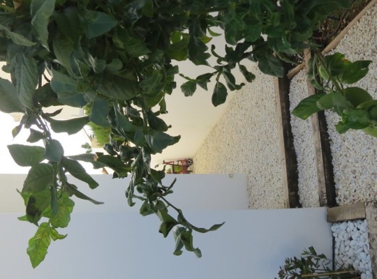 Other areas (Mar de Cristal), Villa #CQ-SD-52400
