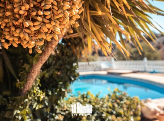 Other areas (Lorca), Finca #CQ-GL-15582