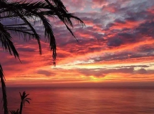 Torrevieja (Altos del Sol), Bungalow #RD-N8463