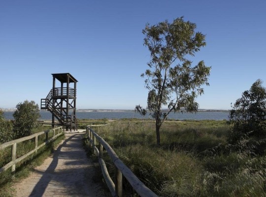 Torrevieja (Sector 25), Villa #CQ-00-69849