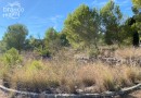 Javea, Plot #AF-X5717