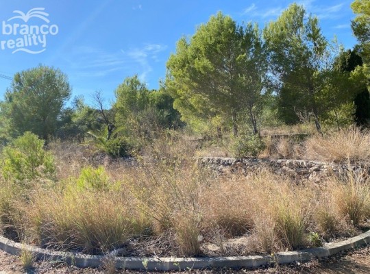 Javea, Plot #AF-X5717