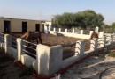 Other areas (La Matanza), Villa #CQ-GL-92523