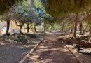Punta Prima, Apartment #CQ-297