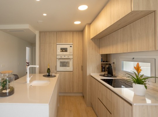 San Miguel de Salinas (Blue Lagoon), Apartment #CQ-CB-33164