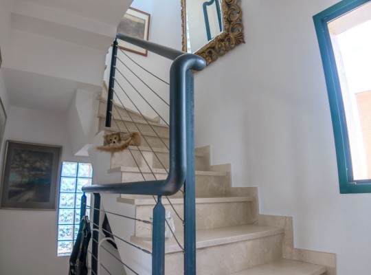 Semi Detached Ciudad Quesada (La Marquesa Golf) #CQ-384