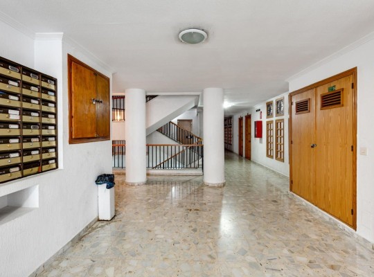 Torrevieja, Apartment #CQ-MY-87452