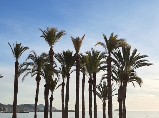 Apartment in Villajoyosa with sea view.