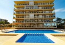 Punta Prima (Rocio del Mar), Apartment #CQ-OC-71344