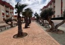 Orihuela Costa (Lomas De Cabo Roig), Apartment #CQ-00-80330