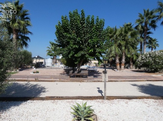 Other areas (Rafal), Finca #CQ-BT-92559