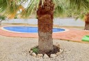 Other areas (Villas de la Romana), Villa #CQ-00-65826